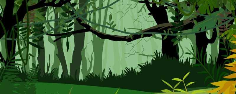 c7官网app下载安装森林环境保护的内容及对策 如何保护森林环境
